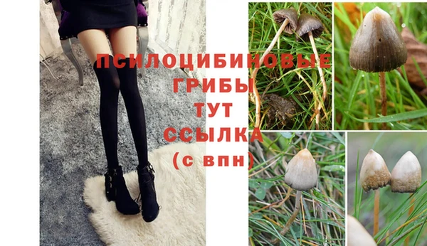 трава Касимов