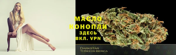 дурь Карпинск