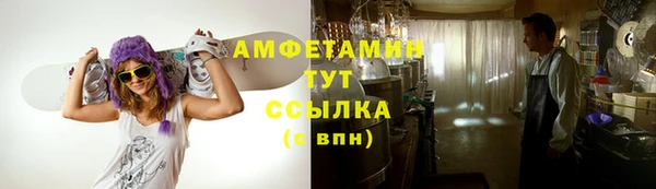 дурь Карпинск